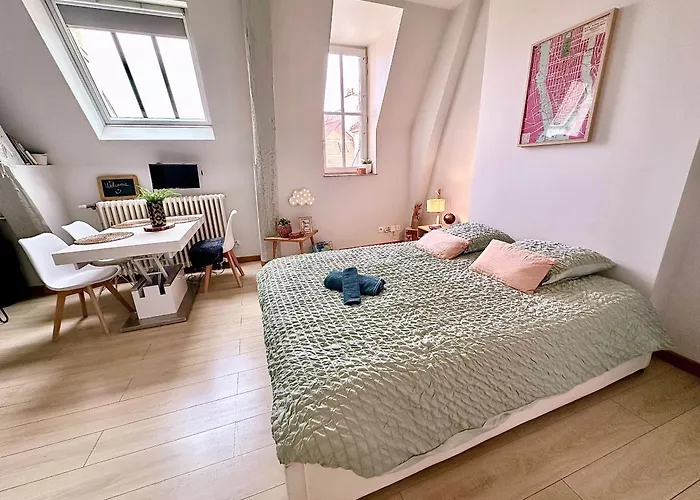 Le Petit Pote\' Studio Dijon Hyper Centre